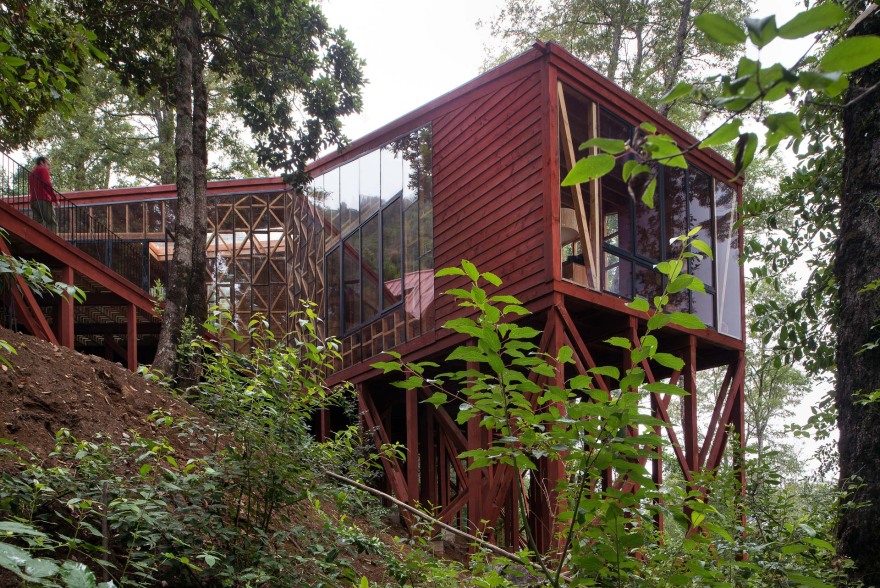 融入森林的日光别墅-19