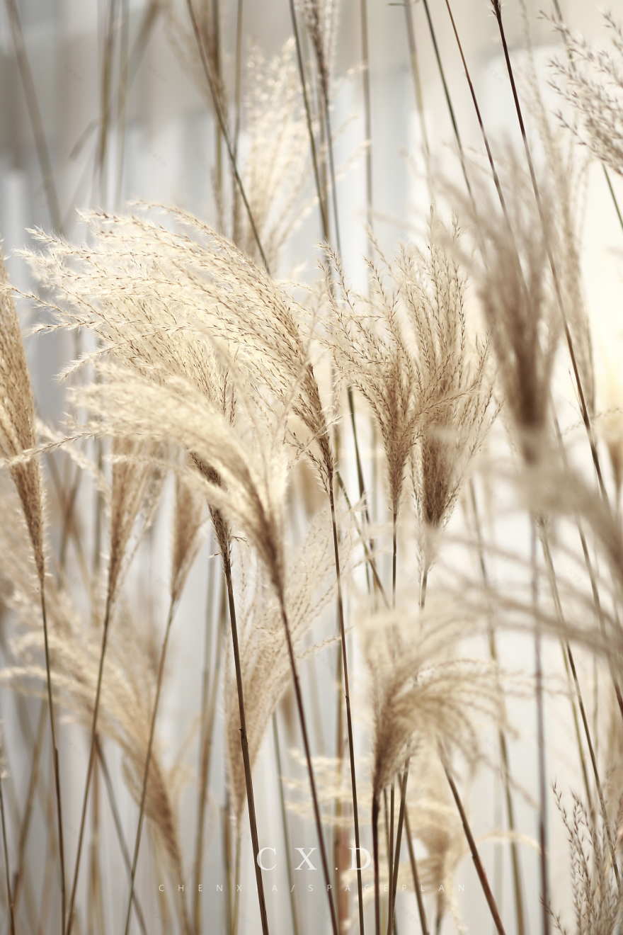 ICOOL 全屋定制展厅丨中国淮安丨辰夏-20