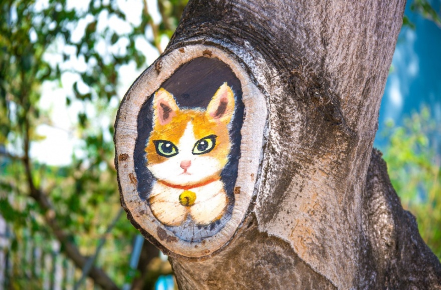 百花二路宜学街区提升工程丨中国深圳丨深圳市城市交通规划设计研究中心股份有限公司-70