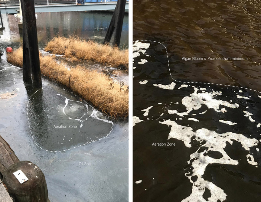 马里兰州漂浮湿地 | 新型技术助力可持续生态恢复-55