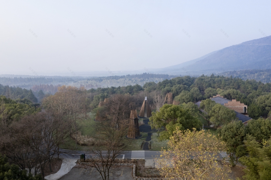 森林中的森林——溧阳杨湾游客中心-20