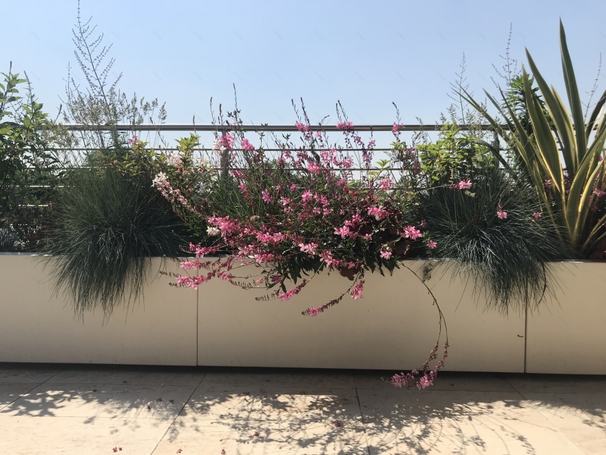 斜坡之上,日式庭院的竹影婆娑-10