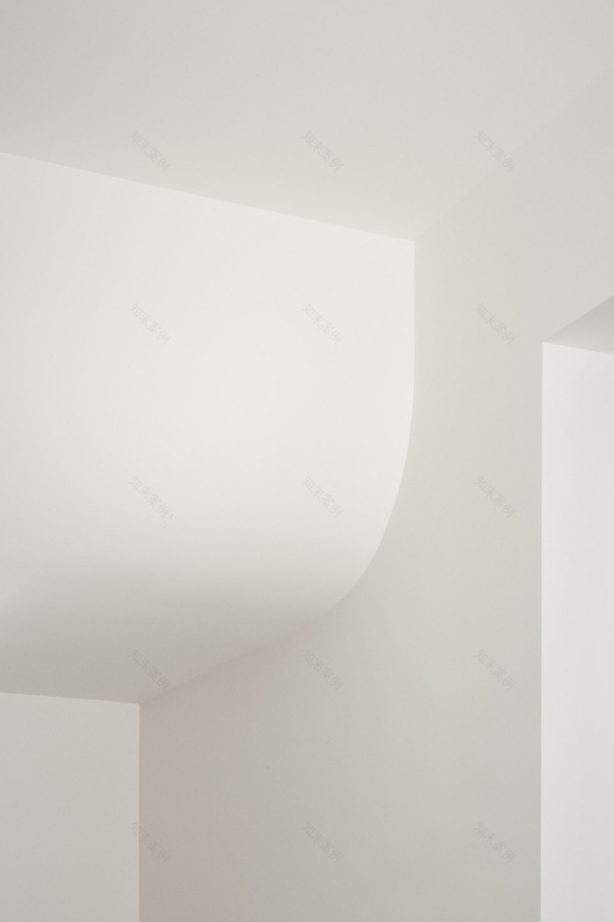 蒙特利尔 Alma 住宅丨加拿大蒙特利尔丨Atelier Barda-58