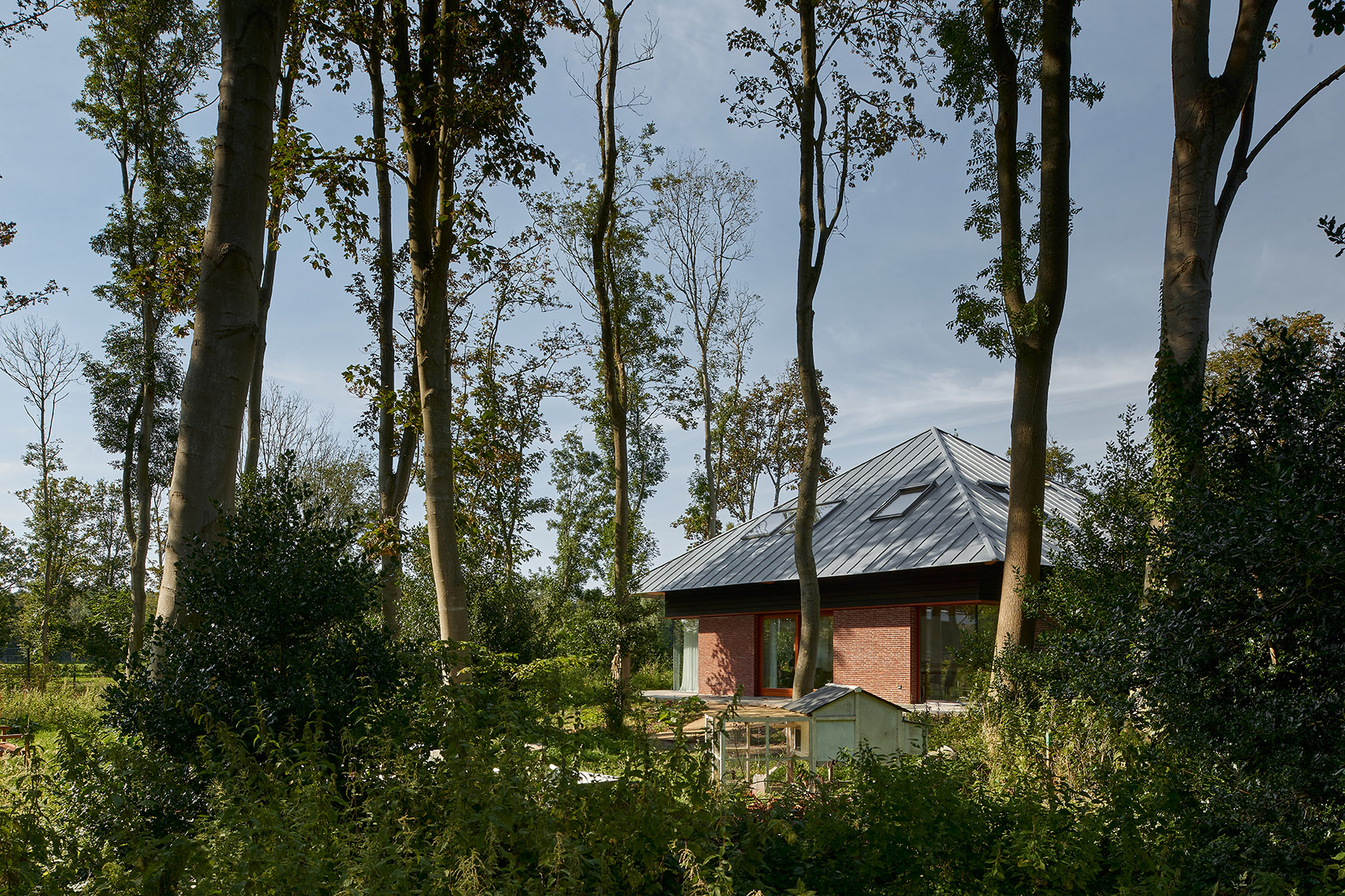 诺德韦克森林别墅，荷兰/愉快、可持续的居住体验-7