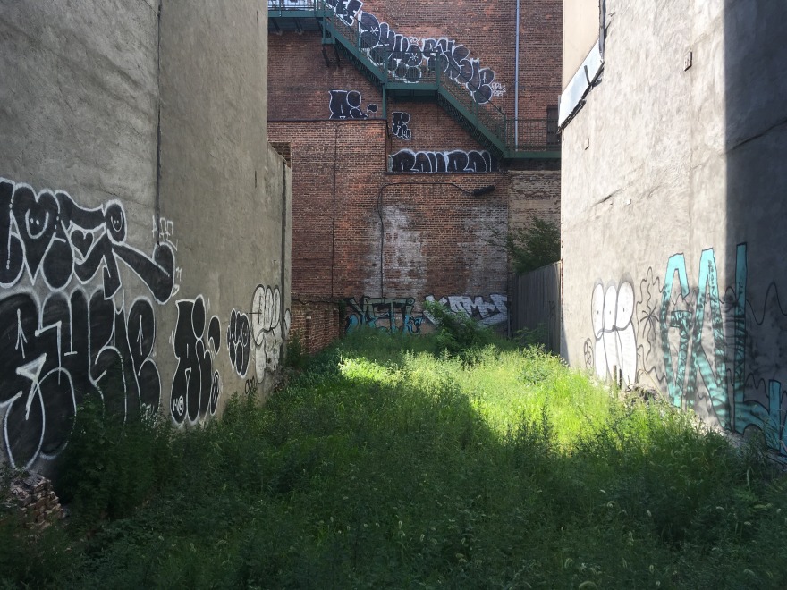 洛杉矶仙人掌商店-16