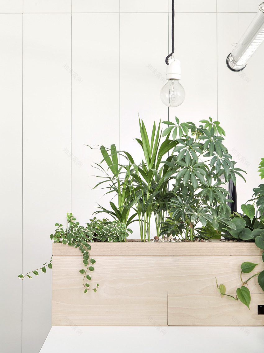 工业风遇上木质温馨,打造独特女性气质办公空间-11