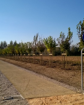 PROGETTO PERCORSO CICLO PEDONALE Lungh: 2.00 Km