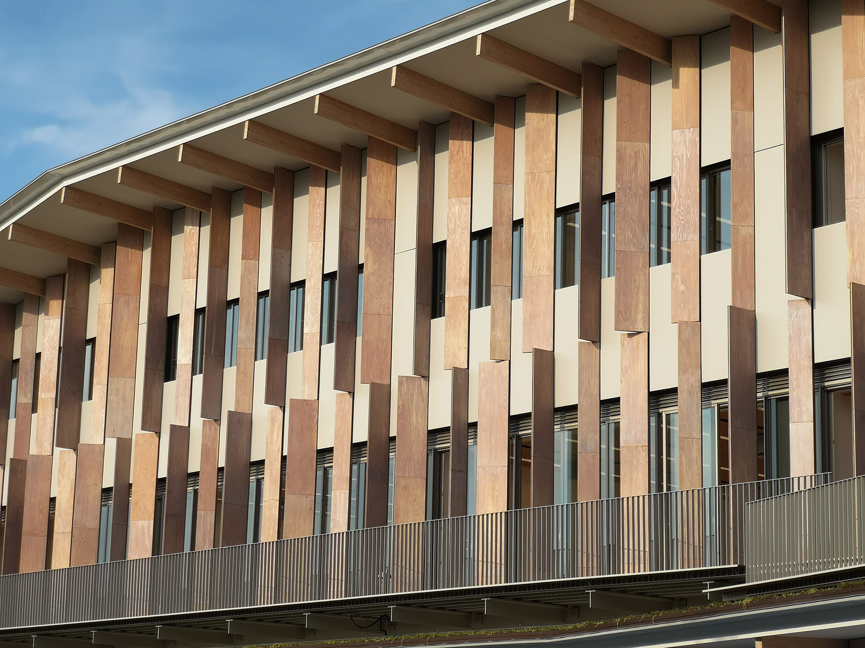 鹤川女子短期大学-10