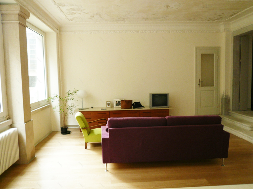 树影婆娑的城市绿洲——Casa S.别墅设计-10