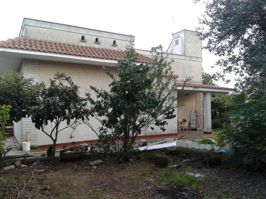 绿意盎然的家庭空间丨意大利-9