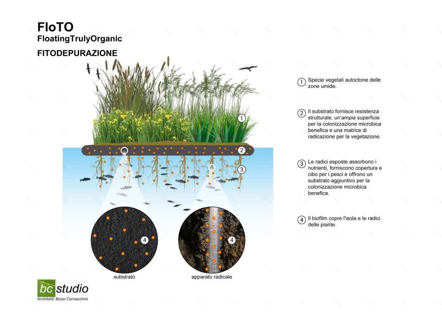 FloTO 绿色漂浮公园丨bc studio-6
