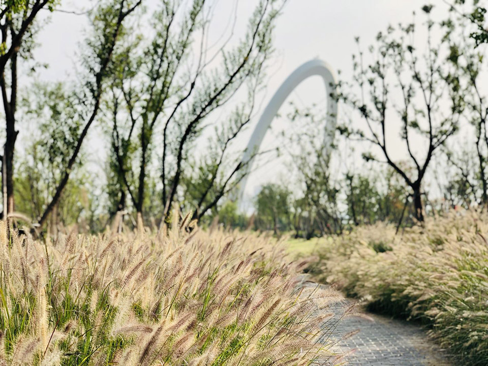 新加坡·南京生态科技岛，南京/一叶江洲·野趣绿廊-177