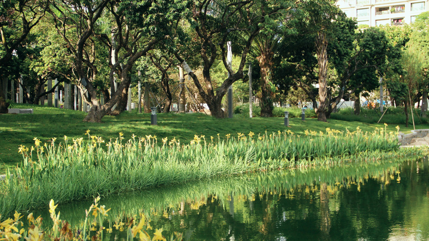 四海公园景观提升工程-45