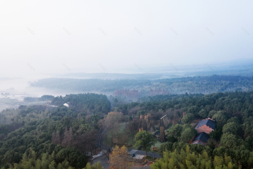 森林中的森林——溧阳杨湾游客中心-18