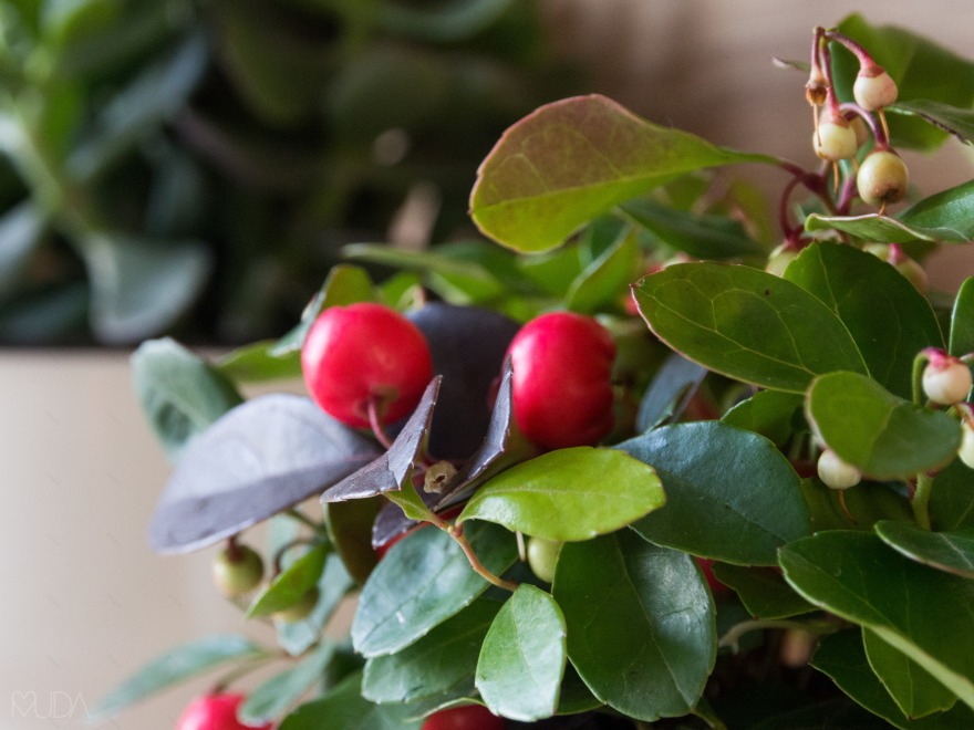 简约永恒的海岸别墅设计-31