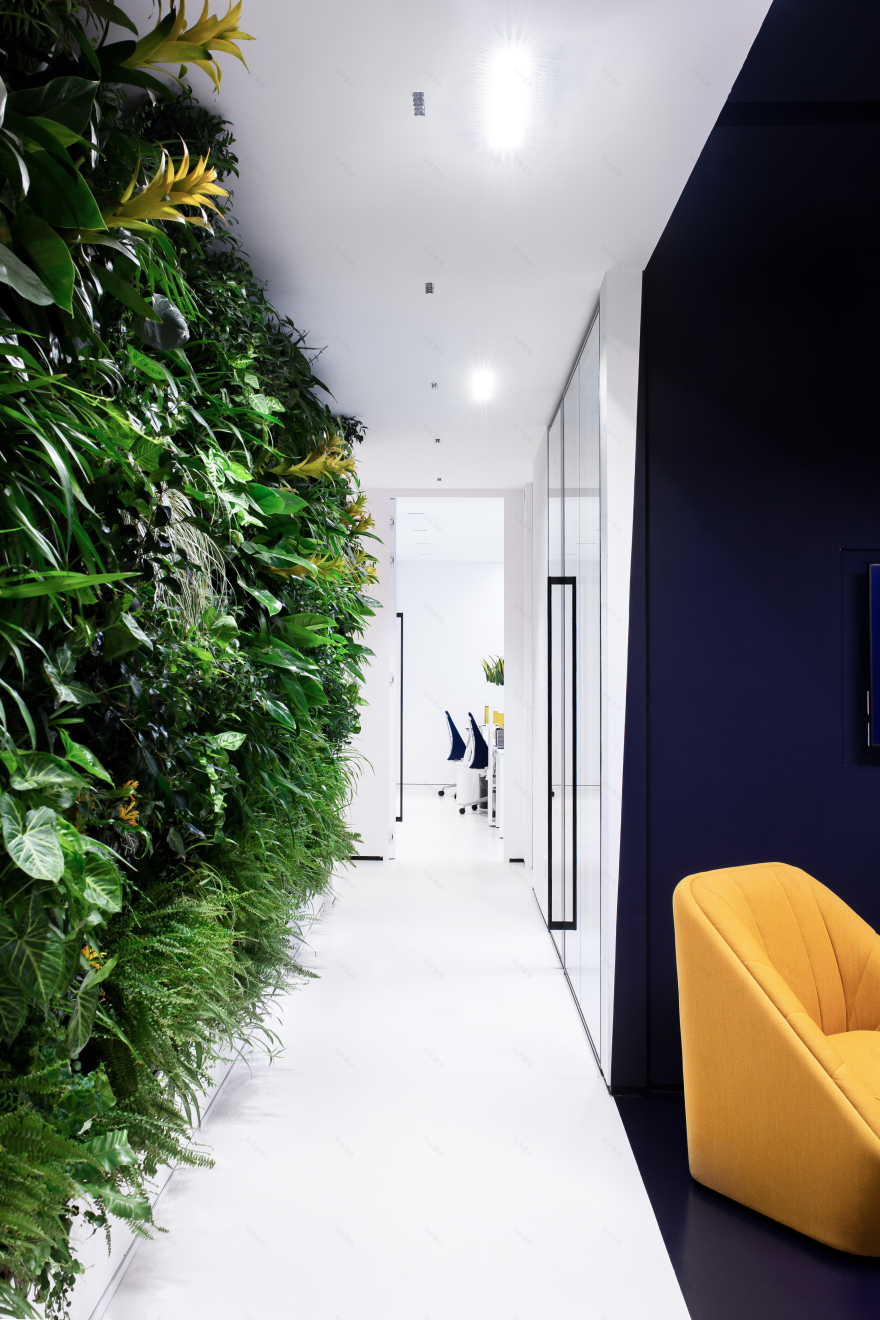 麦肯锡罗马办公室设计-5