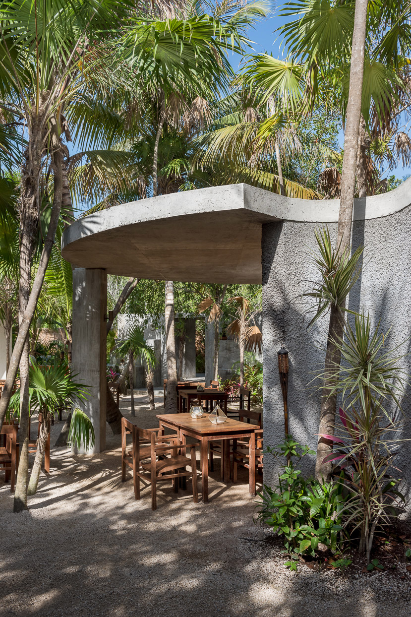 图卢姆Xaman酒吧，墨西哥/从场地中生长出来的混凝土体块-57