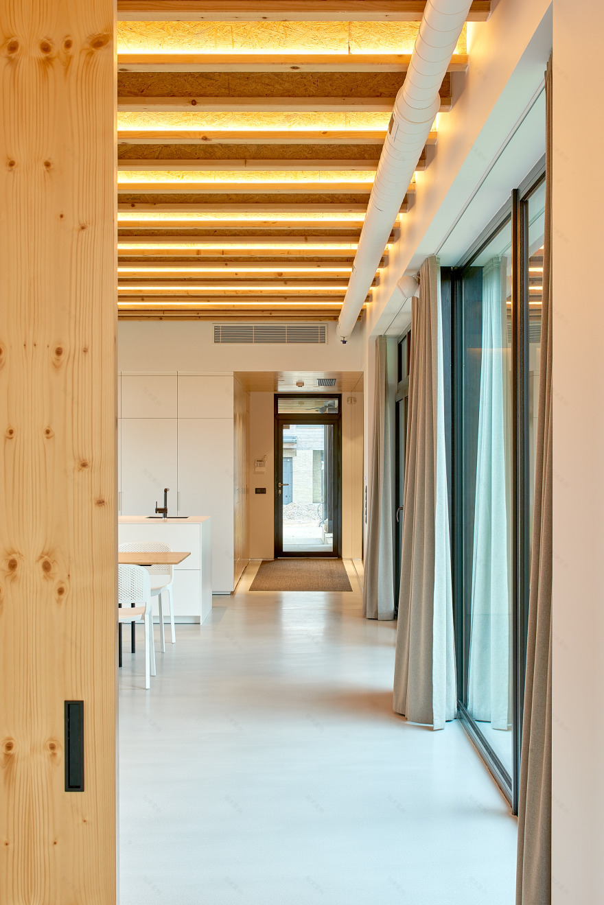 融合传统与现代的立陶宛乡村别墅设计-15