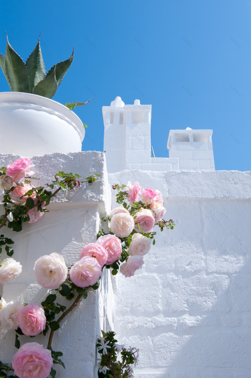 Don Ferrante(地中海风情古堡酒店)-11