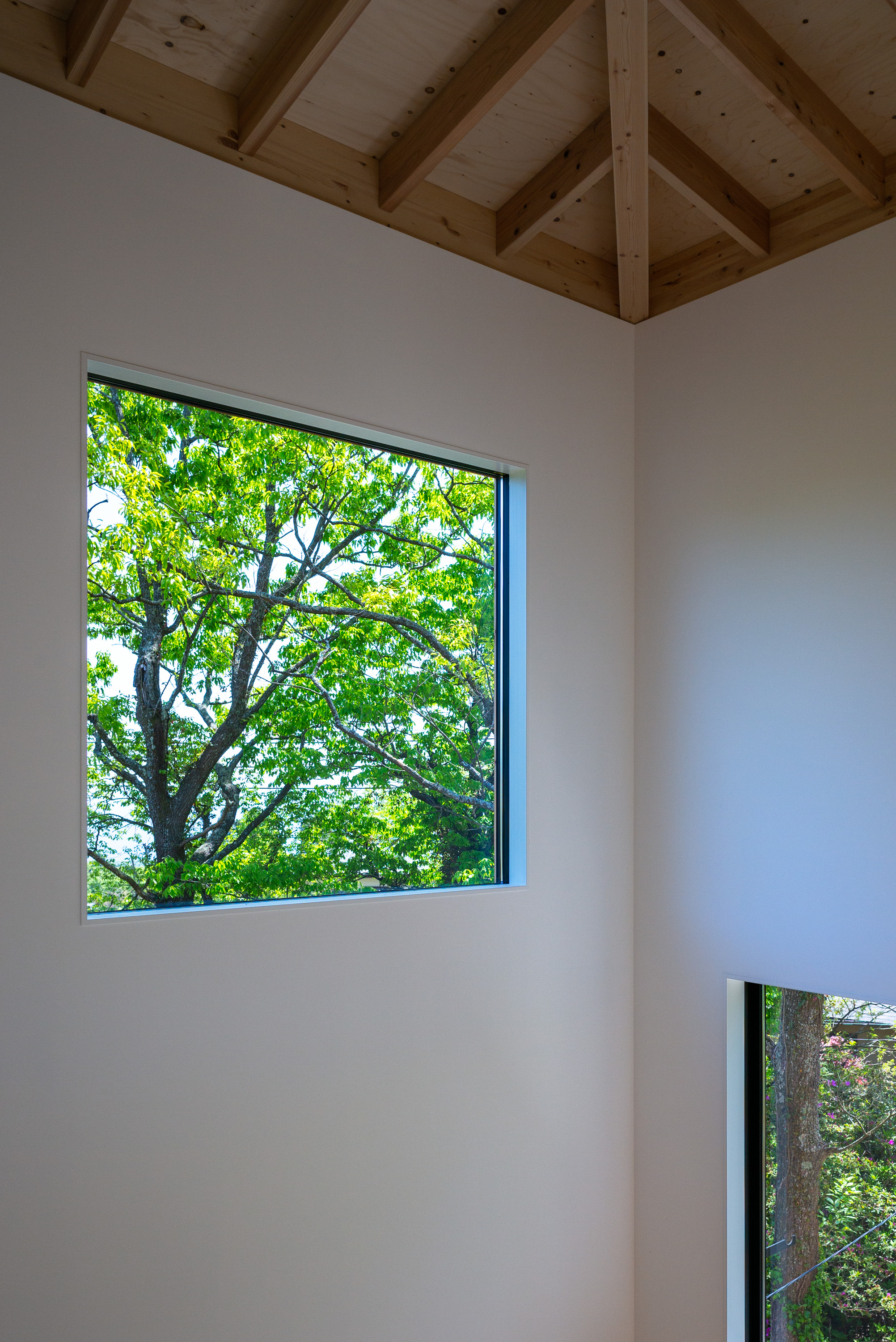 伊豆高原 I 之屋丨Florian Busch Architects-28