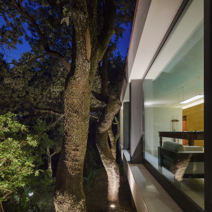 悬浮森林中的别墅-50