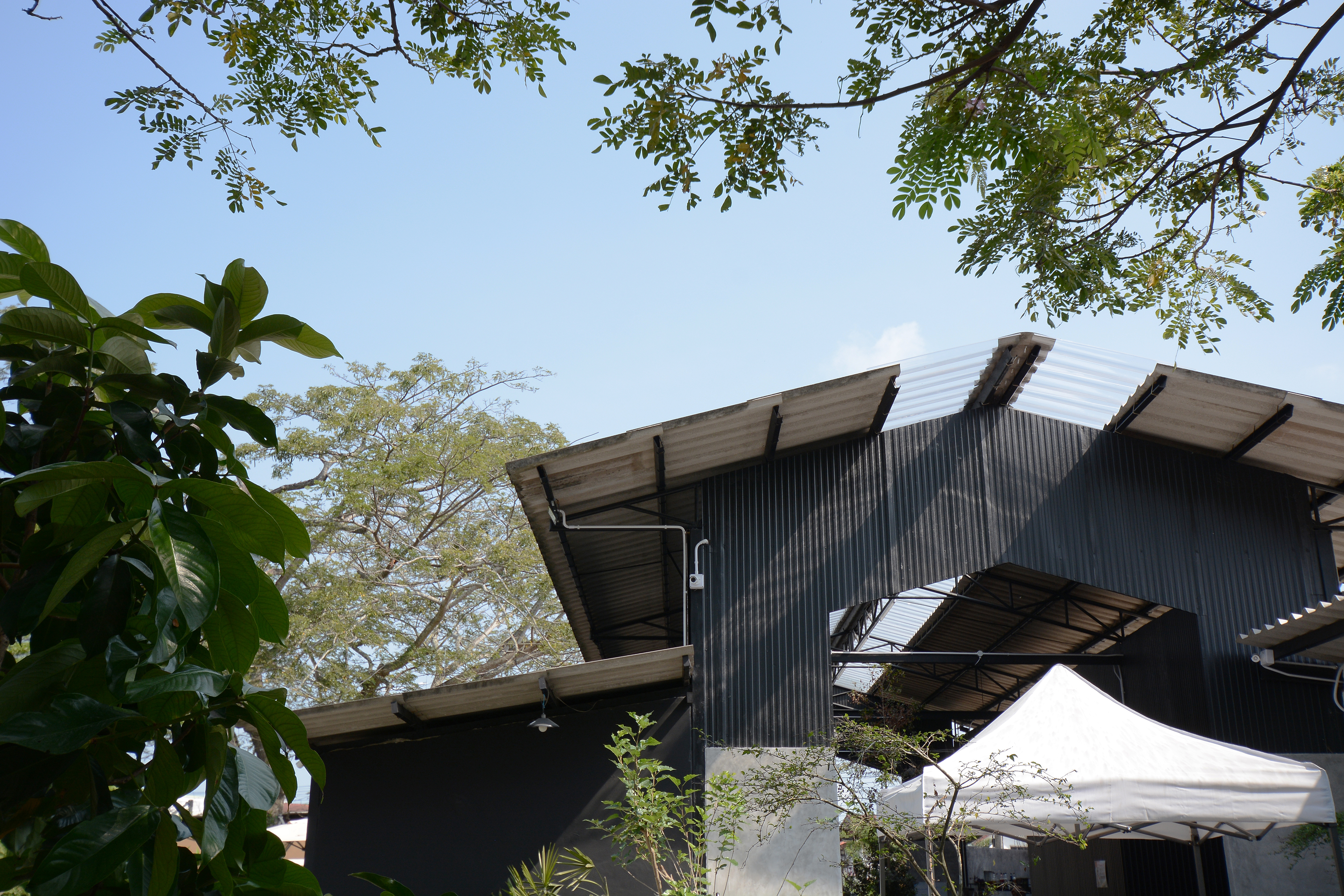 森林中的旋转餐厅“Roti de Forest”-16