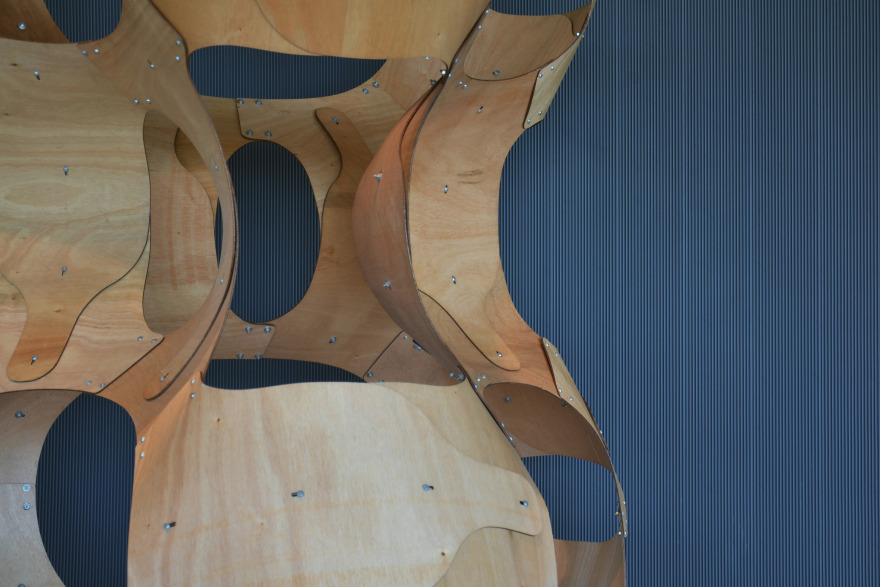 里约科萨 2017-17