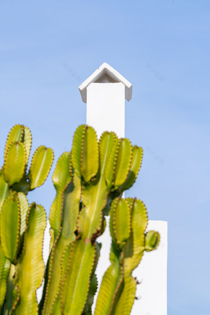 废墟中的生机 | 西班牙 CO 别墅-22