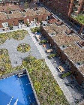 阿姆斯特丹新 Waterlandplein 屋顶花园