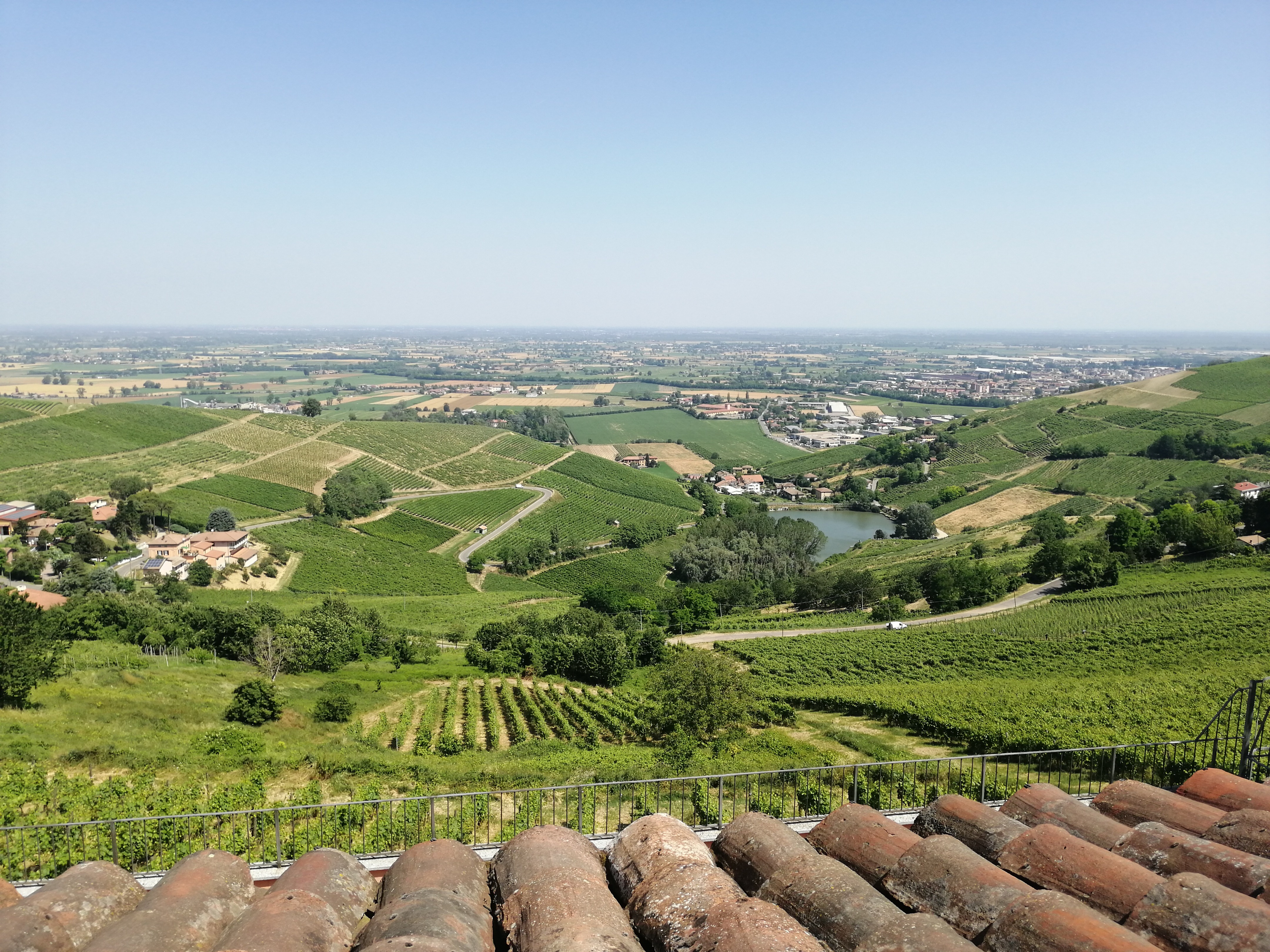 Ristrutturazione wine sales and office azienda vitivinicola-1