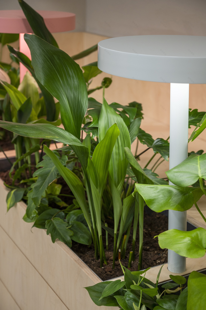 Telenor Budapest 旗舰店 | 温馨社区办公空间-18