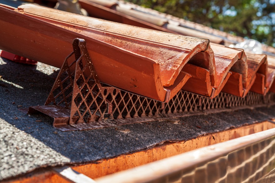 绿意盎然的前精神病院重生,变身为健康之城-8