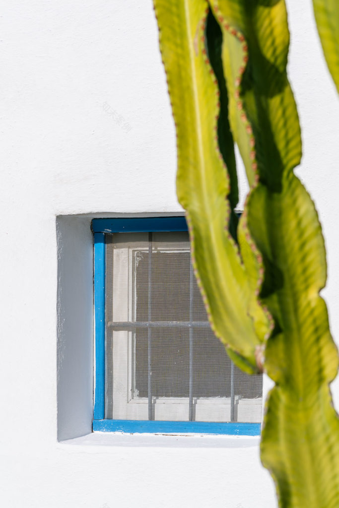 废墟中的生机 | 西班牙 CO 别墅-21