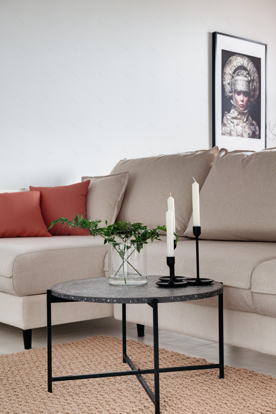 俄罗斯风格公寓设计-8