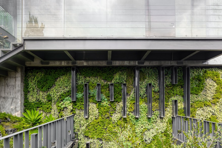 墨西哥 Casa Espejo Verde 垂直花园丨Daniel Gómez Bilbao-2