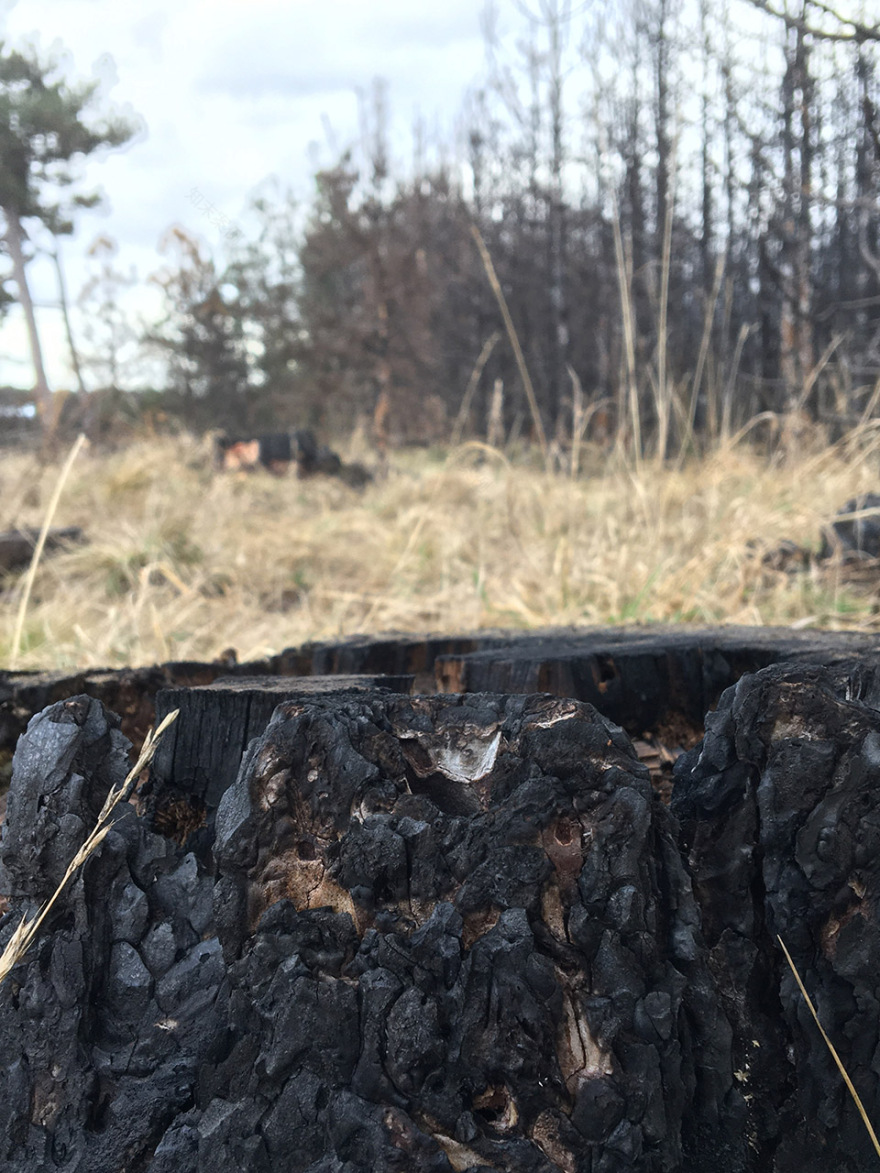 “呼唤希望”沉浸式装置丨奥地利维也纳丨Superflux设计工作室-50