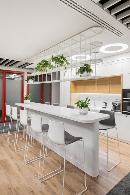 Johnson & Johnson 绿色环保办公室-11