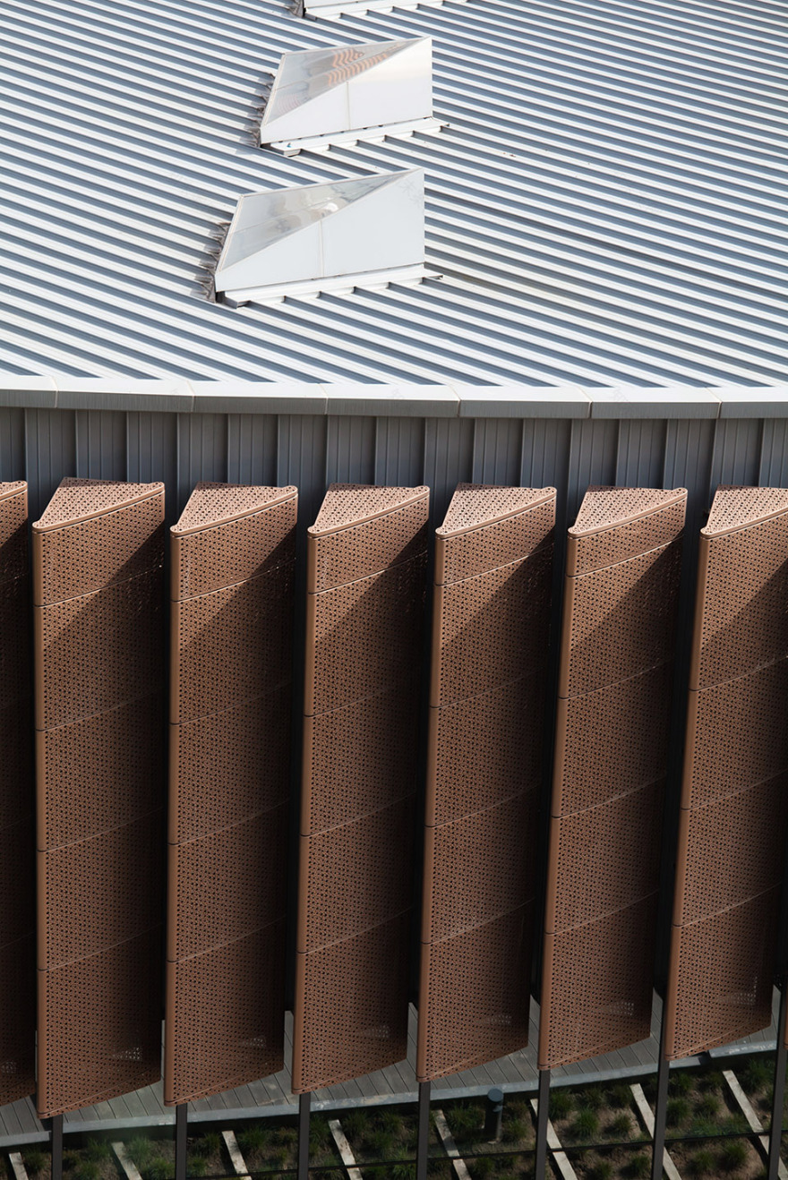 校园中的一尾活力游鱼& 上海科技大学体育馆/一尾游鱼,戏水于宿舍楼的涟漪波浪间,游弋于生机盎然的青青校园中-29