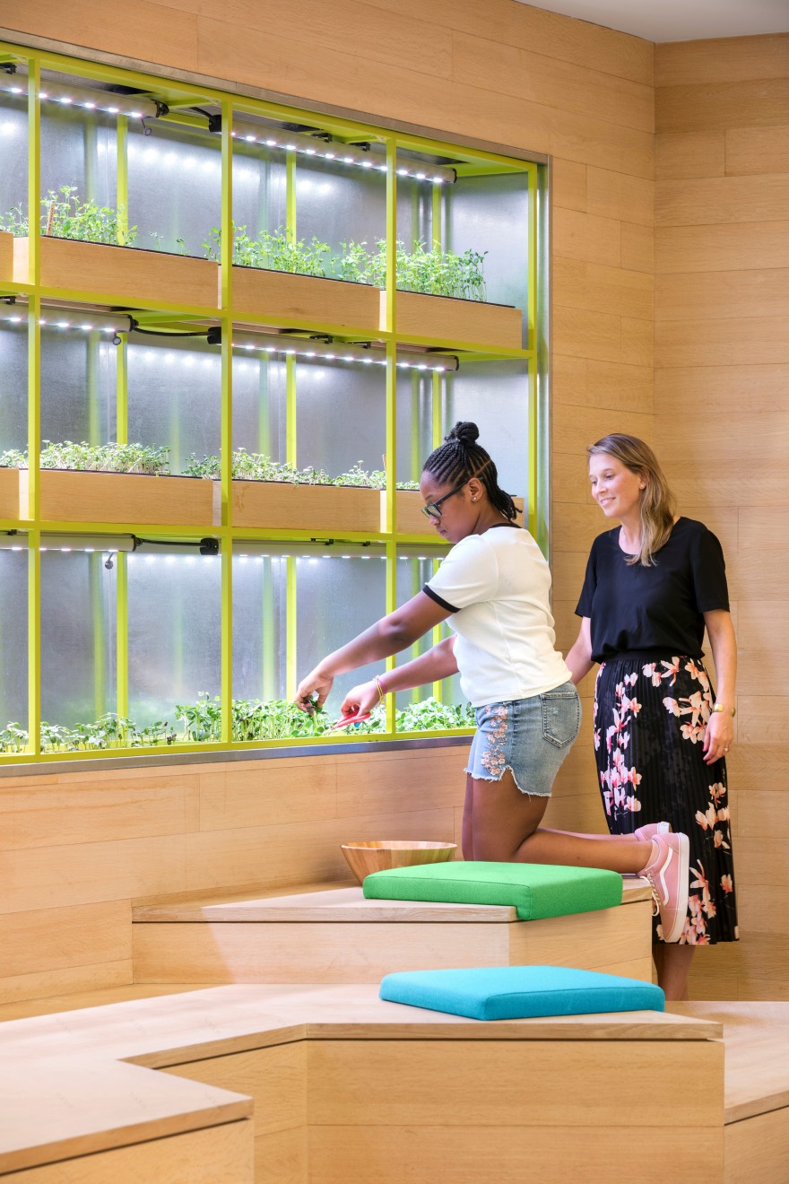 Rockwell Group丨Blue School Middle School-15