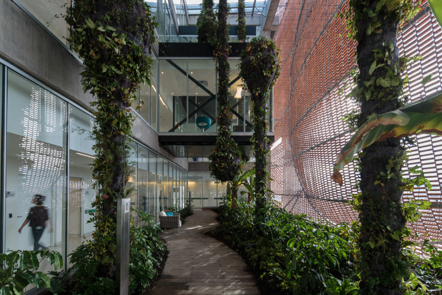 哥伦比亚圣达菲医疗基金会扩建项目-9