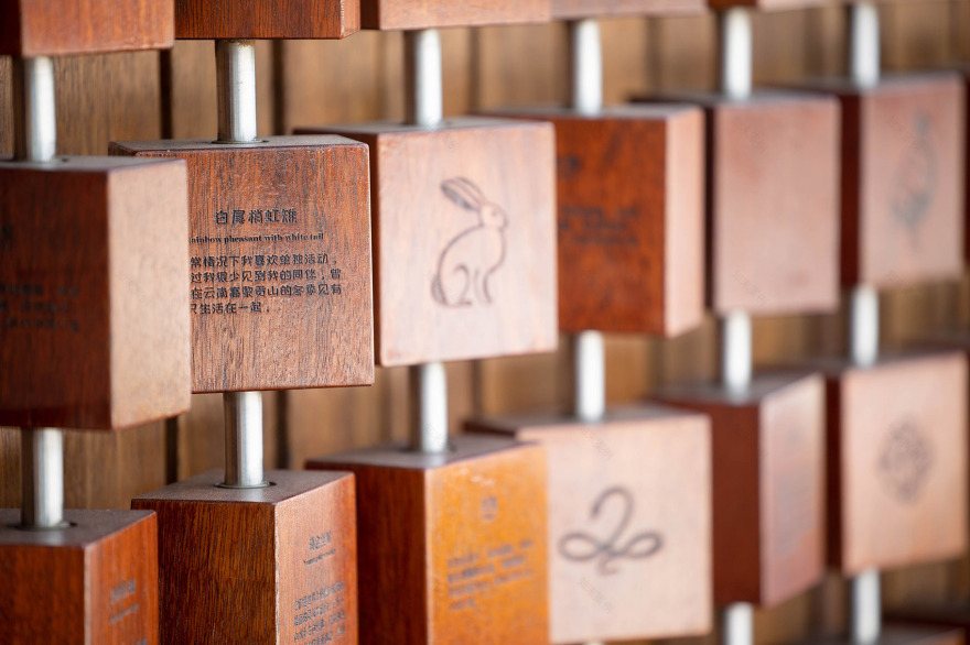 大理洱海生态廊道自然科普乐园丨中国大理丨AHA-94