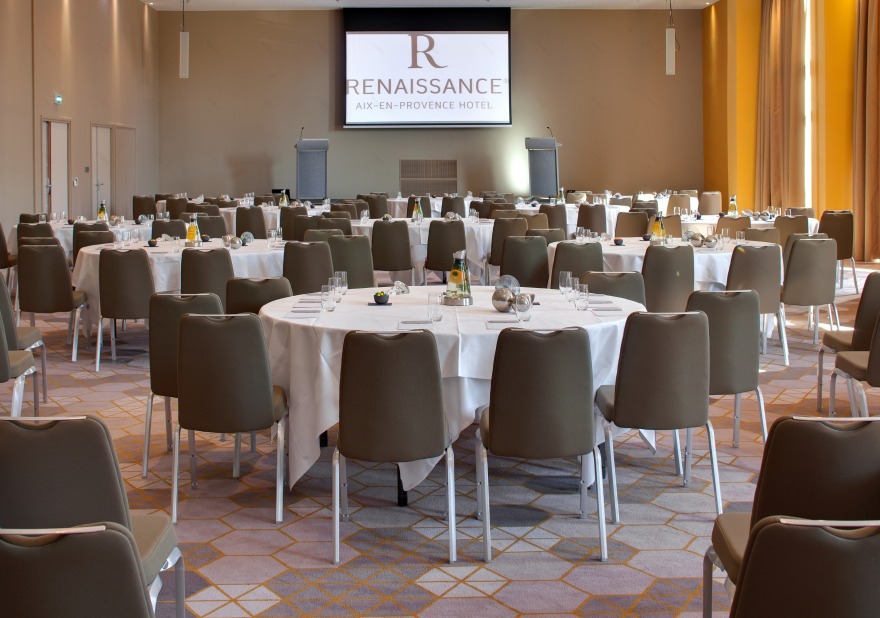 法国普罗旺斯五星级酒店“文艺复兴”-21