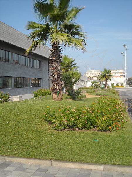 Sistemazione aree piscine Polo Natatorio F.I.N. - Lido di Ostia-3