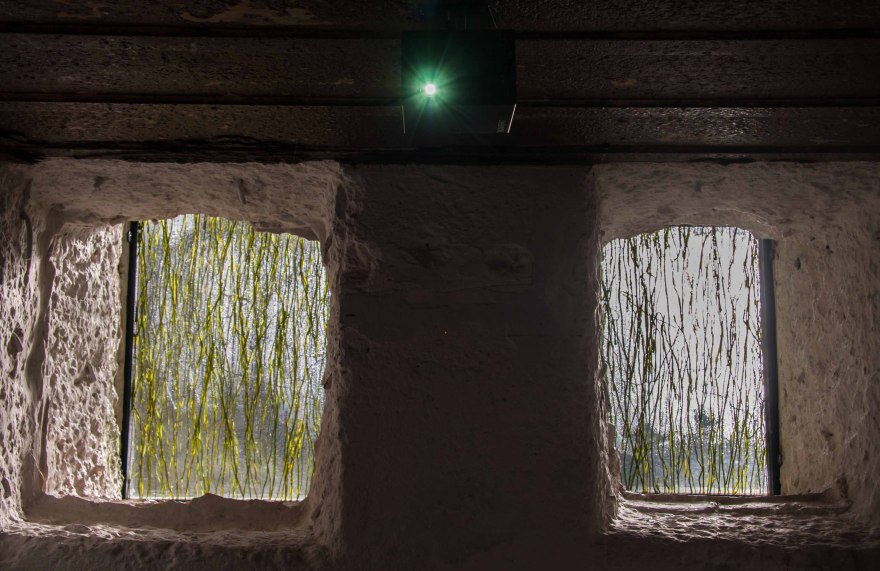 意大利 Pineta del Fondo 二战 bunker 修复与再利用-23