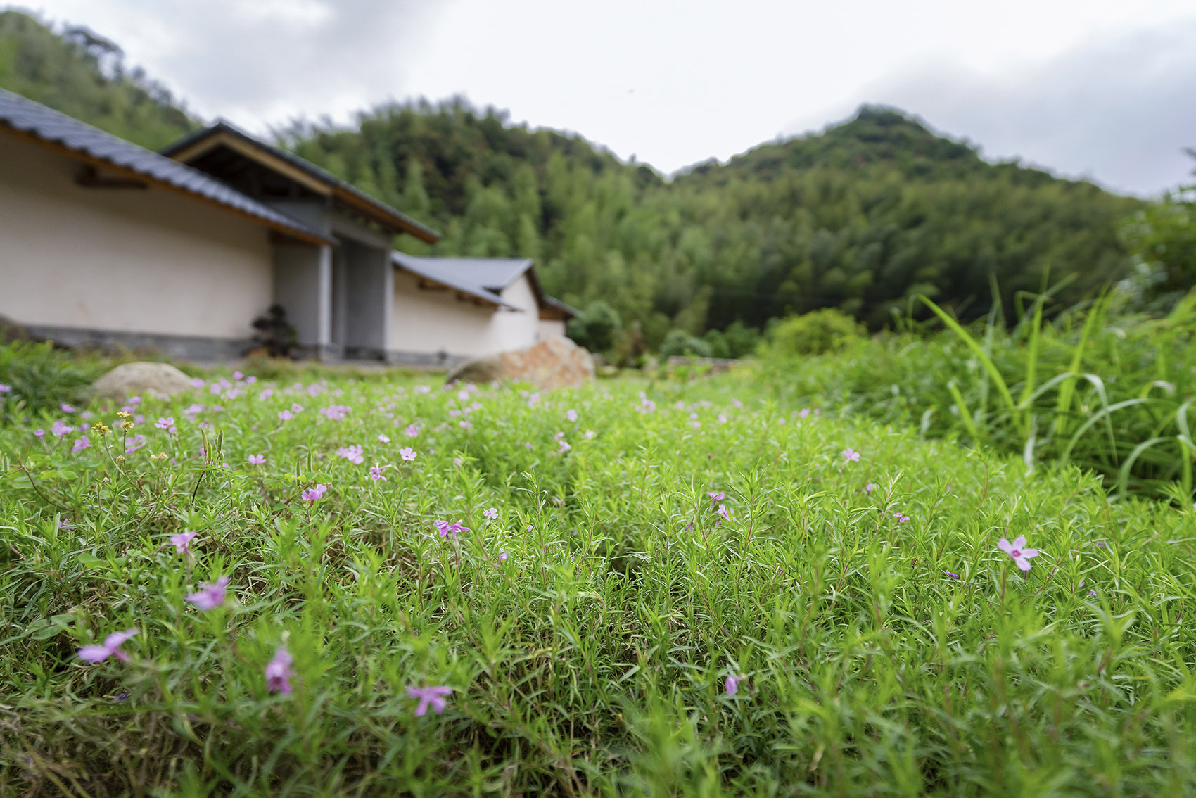 山禅水定 · 福建龙岩大和禅院扩建设计丨中国龙岩丨上海善祥建筑设计公司-239