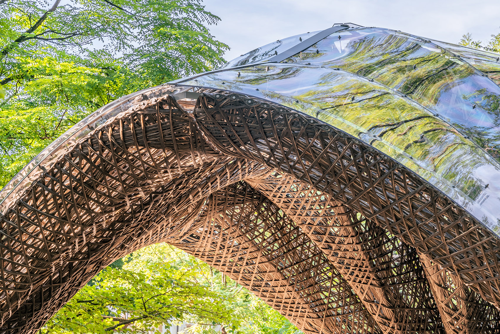 弗莱堡大学植物园livMatS展亭丨斯图加特大学,弗莱堡大学-15