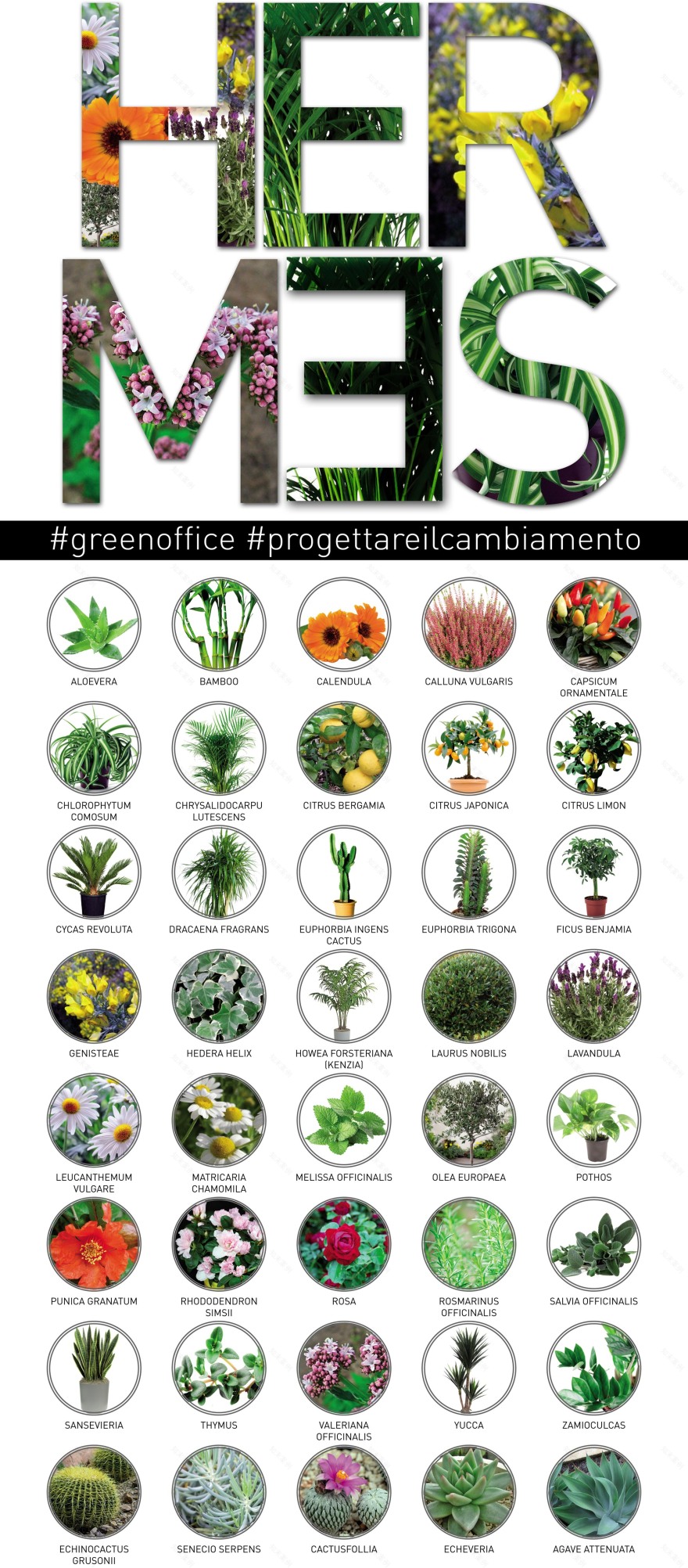 意大利阳光新总部 · HERMES Reggio Calabria 总部大楼-8