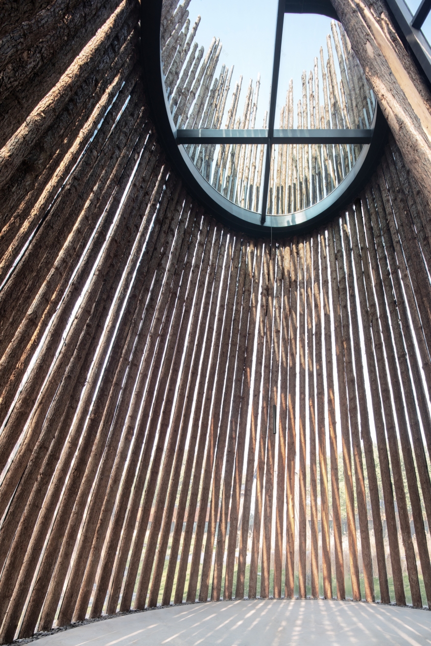 森林中的森林——溧阳杨湾游客中心-14