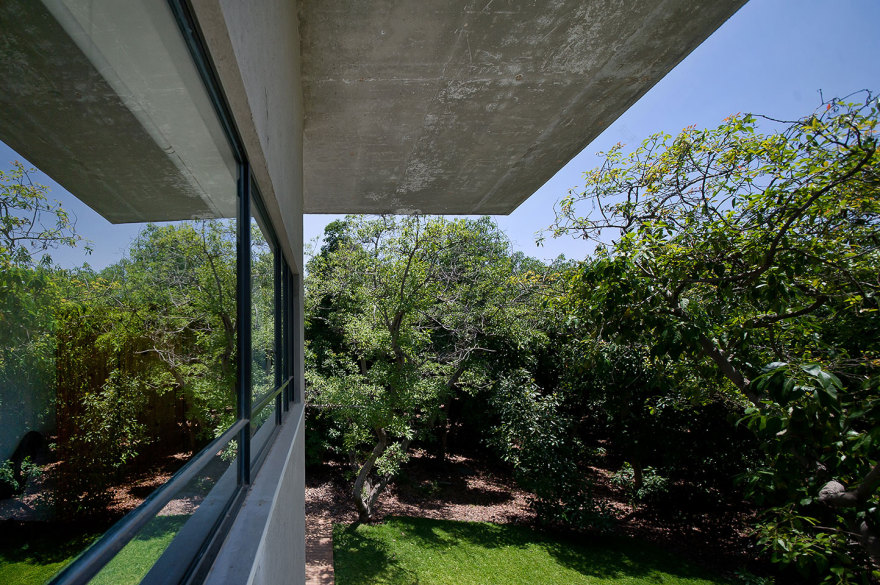 解构主义绿 avocado Grove Residence-24