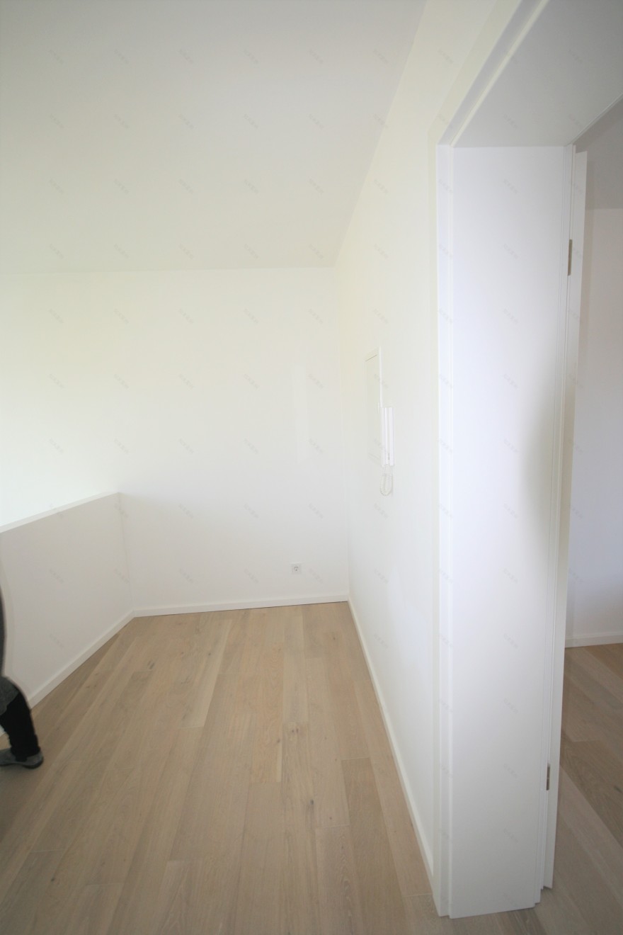 三天打造惊艳上市之“观景屋”-22